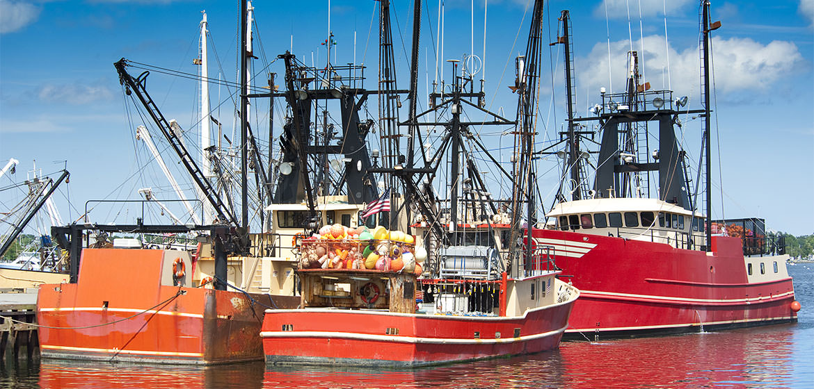 Fishing Wire and Marine Rope | OLIVEIRA 