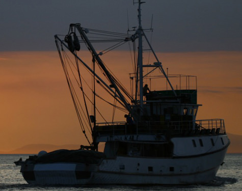 Fishing Marine
